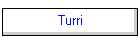 Turri
