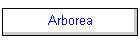 Arborea