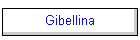 Gibellina