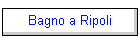 Bagno a Ripoli