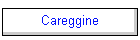 Careggine