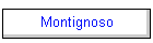 Montignoso