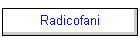 Radicofani