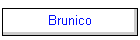 Brunico