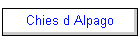 Chies d Alpago