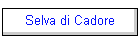 Selva di Cadore