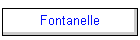 Fontanelle