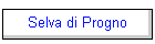 Selva di Progno
