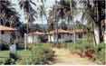 Hotel Cacao Beach Resort