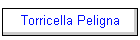 Torricella Peligna