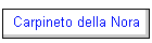 Carpineto della Nora