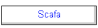 Scafa