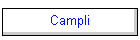 Campli