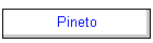 Pineto