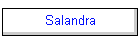 Salandra