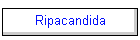 Ripacandida