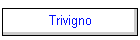 Trivigno