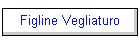 Figline Vegliaturo