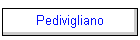 Pedivigliano