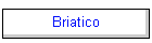 Briatico
