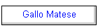 Gallo Matese