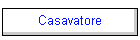 Casavatore