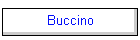 Buccino