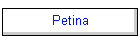 Petina