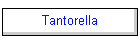 Tantorella
