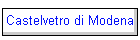 Castelvetro di Modena
