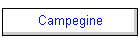 Campegine