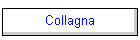 Collagna