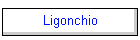 Ligonchio