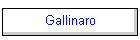Gallinaro