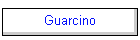 Guarcino