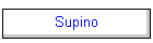 Supino