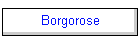 Borgorose