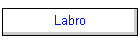 Labro
