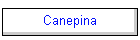 Canepina
