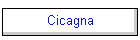 Cicagna
