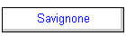 Savignone