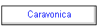 Caravonica