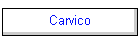 Carvico