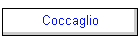 Coccaglio