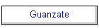 Guanzate