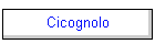 Cicognolo