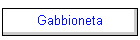 Gabbioneta