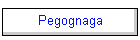 Pegognaga