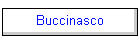 Buccinasco