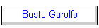 Busto Garolfo